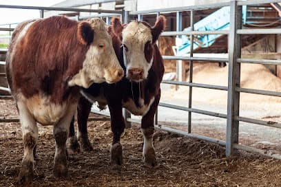 We hae meat - Butcher in Girvan