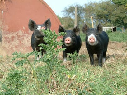 G & R Tudge - Butcher in Ludlow, Shropshire