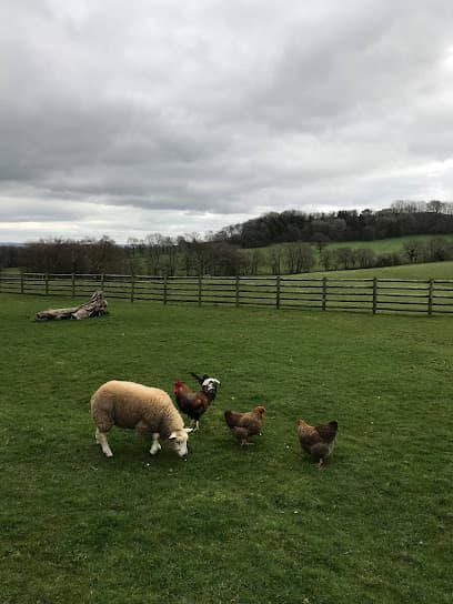 Heath Farm Meats - Butcher in Kidderminster